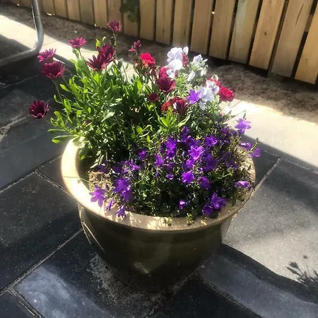 Apartamento Sohuset Viborg