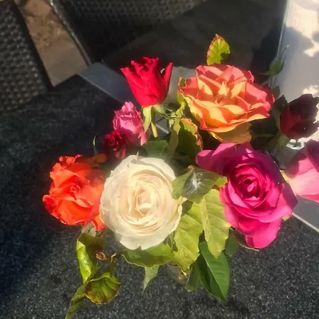 Søhuset Lejlighed Viborg