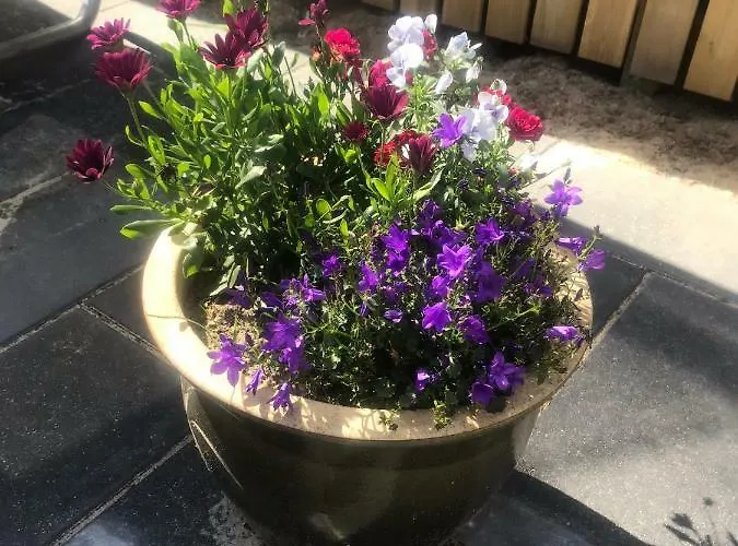 Lejlighed Søhuset Viborg