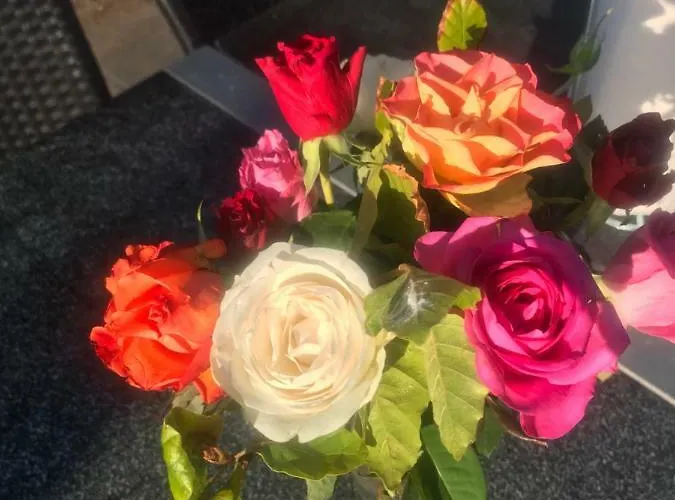 Søhuset Lejlighed Viborg